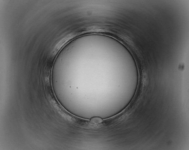 X0000115641273200911241702