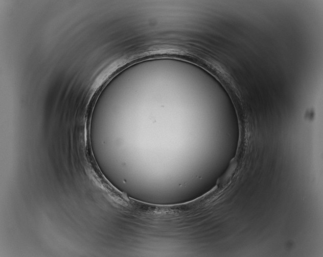 X0000115641274200911241702