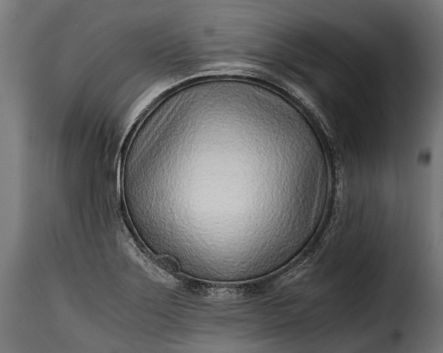 X0000115641275200911241702