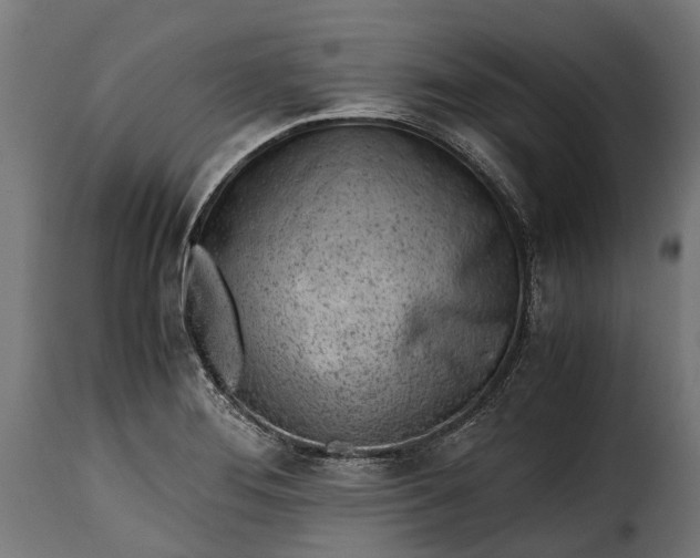 X0000115641276200911241702