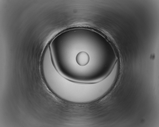 X0000115641277200911241702