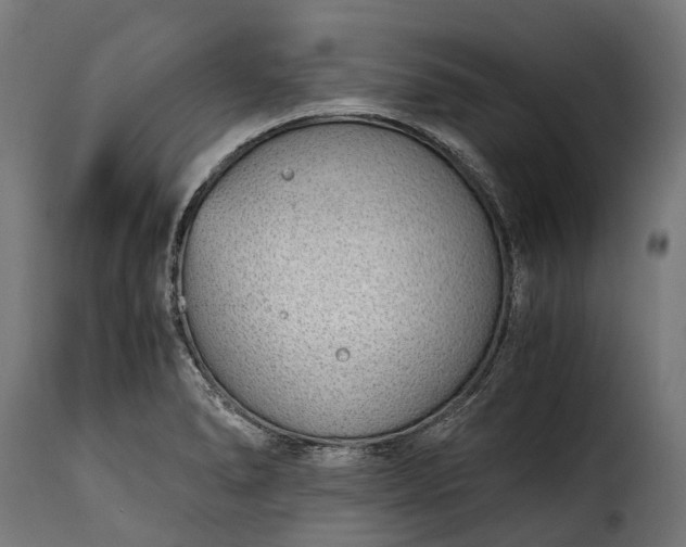 X0000115641278200911241702