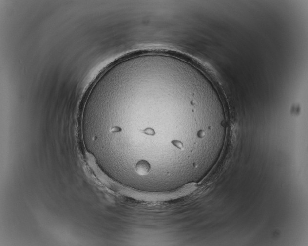 X0000115641279200911241702