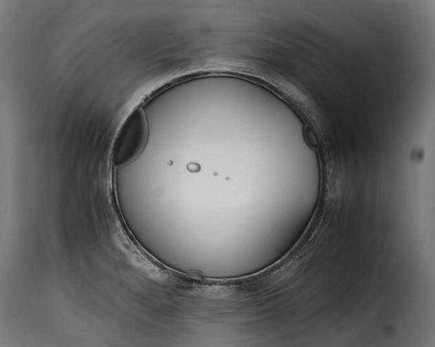 X0000115641280200911241702