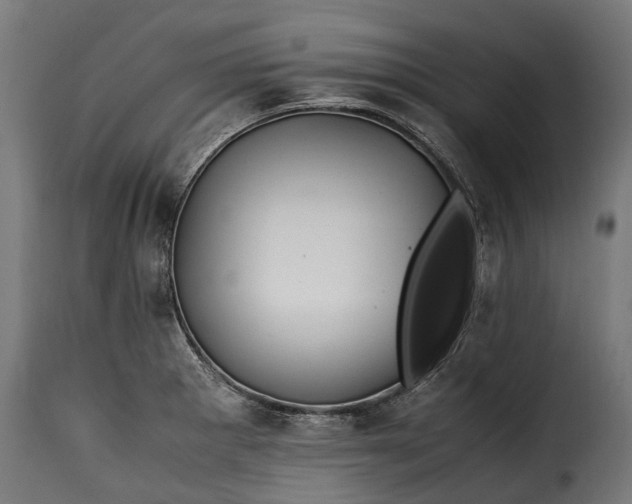 X0000115641281200911241702