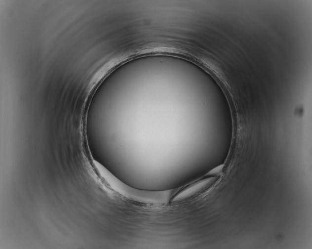 X0000115641282200911241702