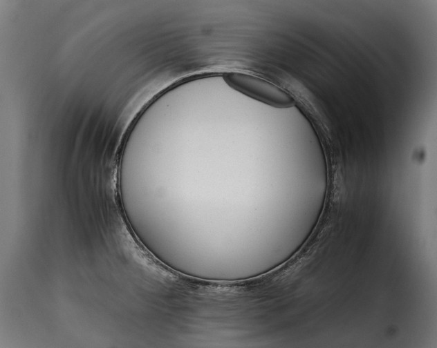 X0000115641284200911241702