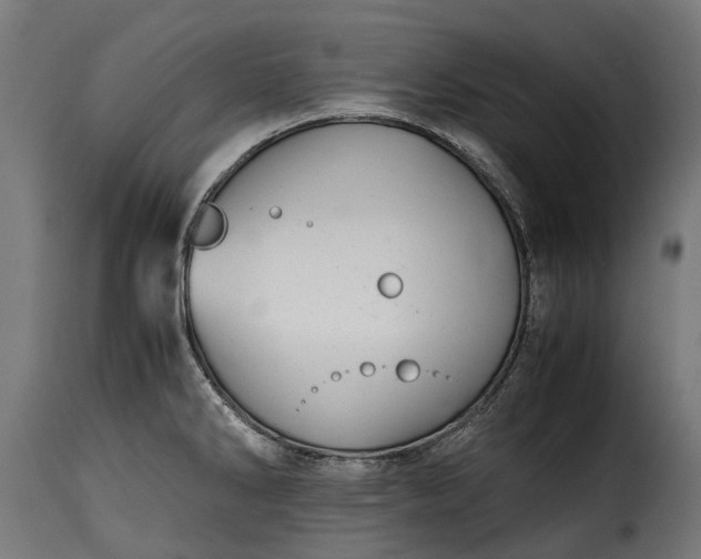 X0000115641286200911241702