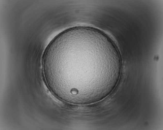 X0000115641287200911241702