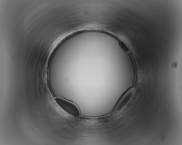 X0000115641288200911241702