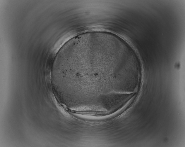 X0000115641289200911241702