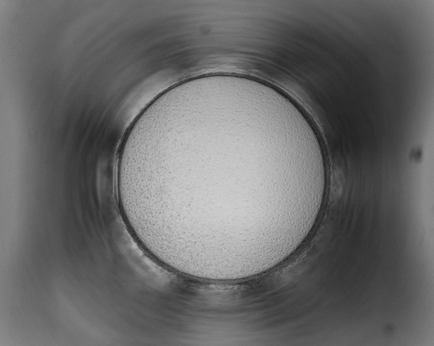 X0000115641290200911241702