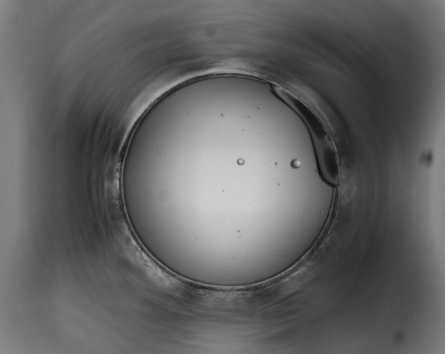 X0000115641292200911241702