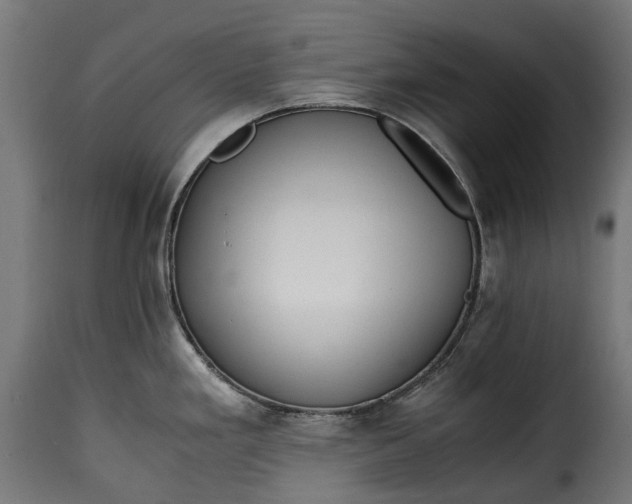 X0000115641293200911241702