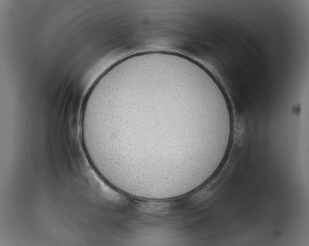 X0000115641294200911241702