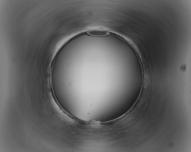 X0000115641295200911241702