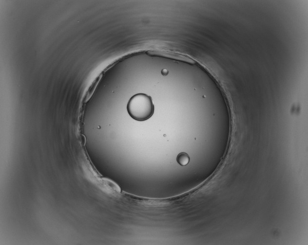 X0000115641296200911241702