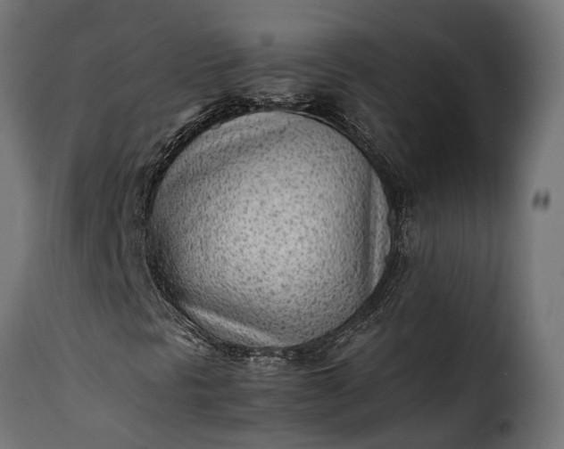 X0000115641297200911241701