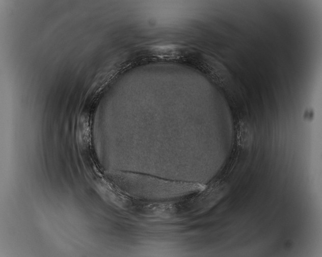 X0000115641298200911241701