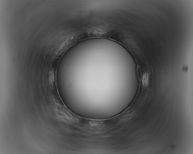 X0000115641299200911241701