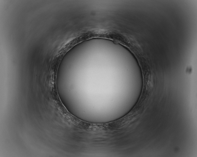 X0000115641301200911241701