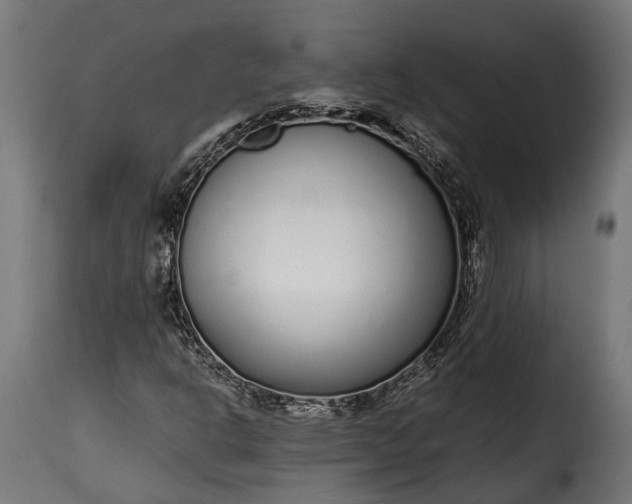 X0000115641302200911241701