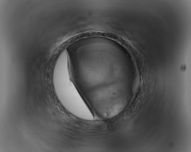 X0000115641303200911241701