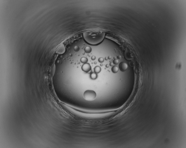 X0000115641305200911241701