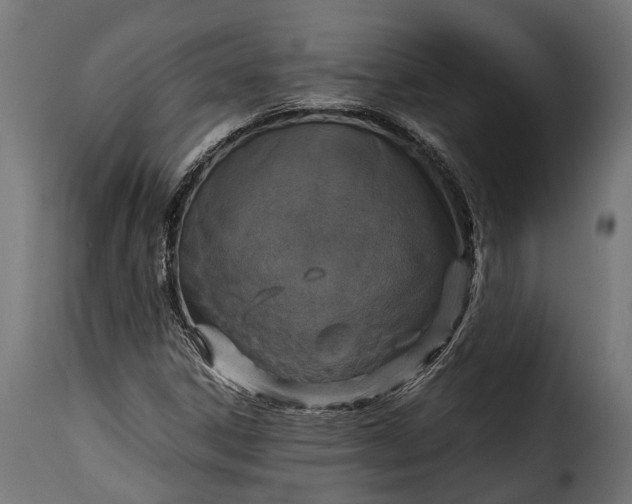 X0000115641306200911241701