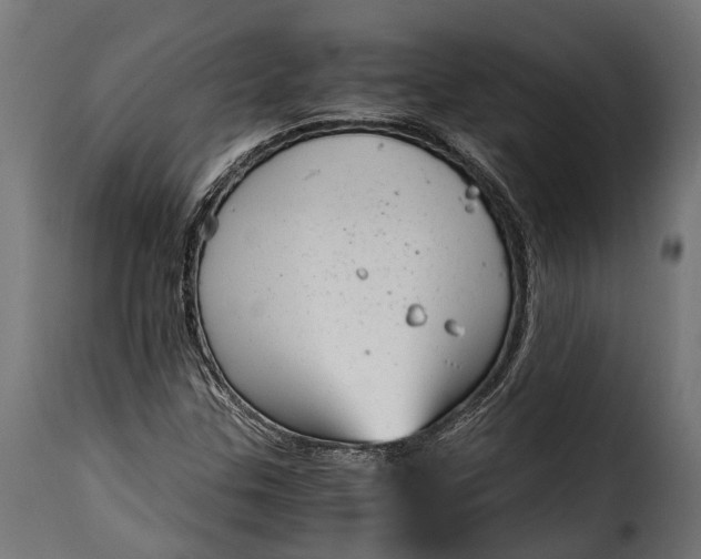 X0000115641307200911241701