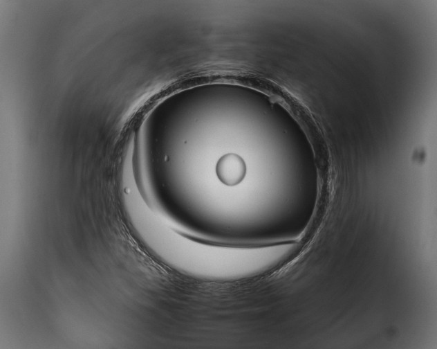 X0000115641309200911241701