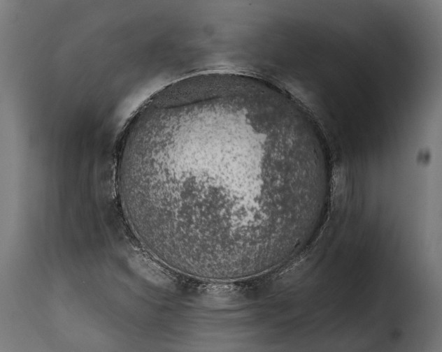 X0000115641310200911241701