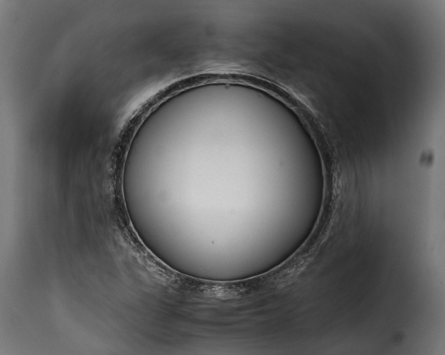 X0000115641311200911241701