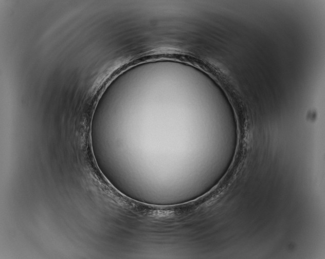 X0000115641313200911241701