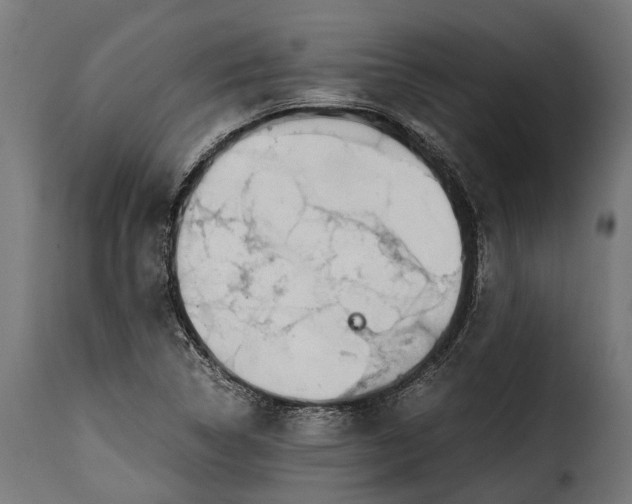 X0000115641314200911241701