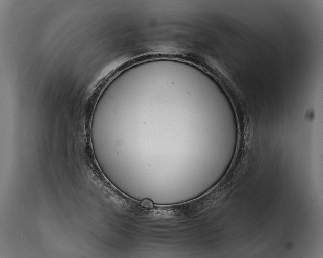 X0000115641315200911241701