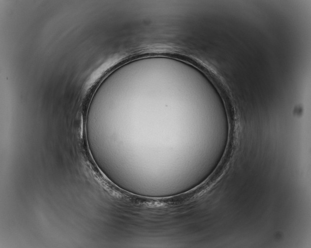 X0000115641317200911241701