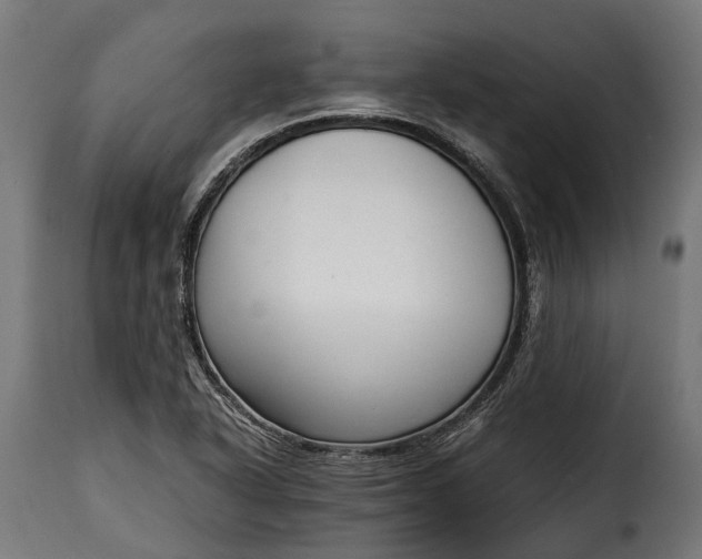 X0000115641318200911241701