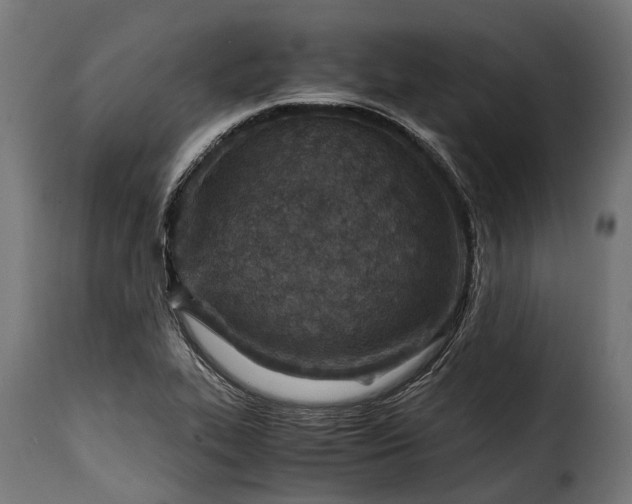 X0000115641319200911241701