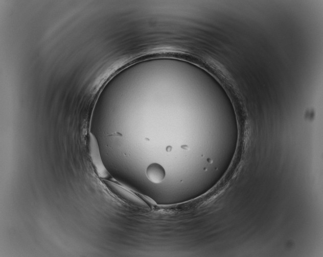 X0000115641321200911241701