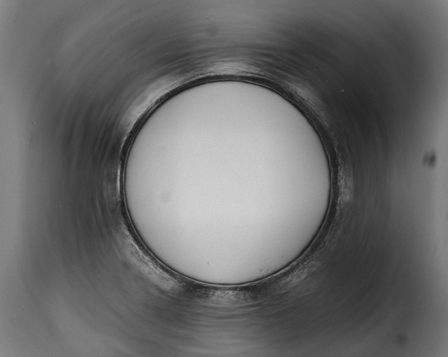 X0000115641322200911241701