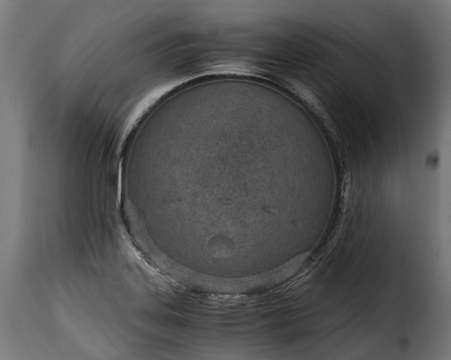 X0000115641323200911241701