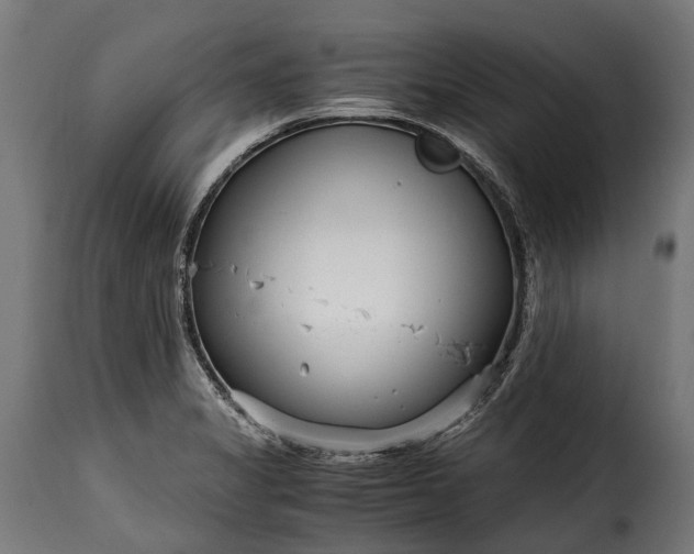 X0000115641325200911241701