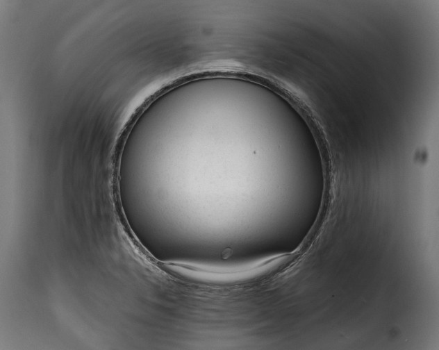 X0000115641326200911241701