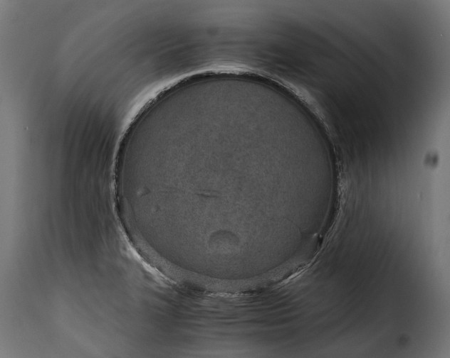 X0000115641327200911241701