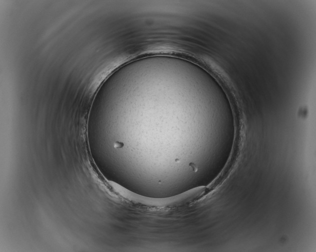 X0000115641329200911241701