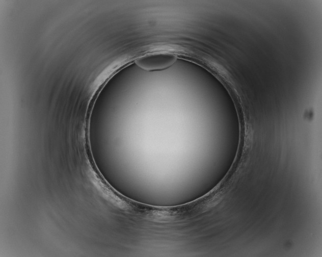 X0000115641330200911241701