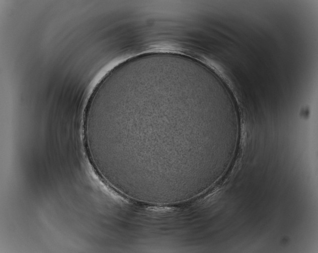 X0000115641331200911241701