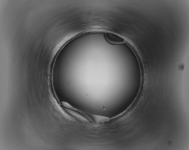 X0000115641333200911241701