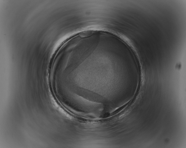 X0000115641334200911241701